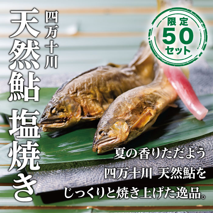 四万十川天然鮎