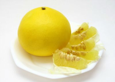 土佐文旦 4L3L10kg はるみ5kセット 土佐文旦 4L3L10kg はるみ5kセット 土佐文旦 4L3L10kg はるみ5k